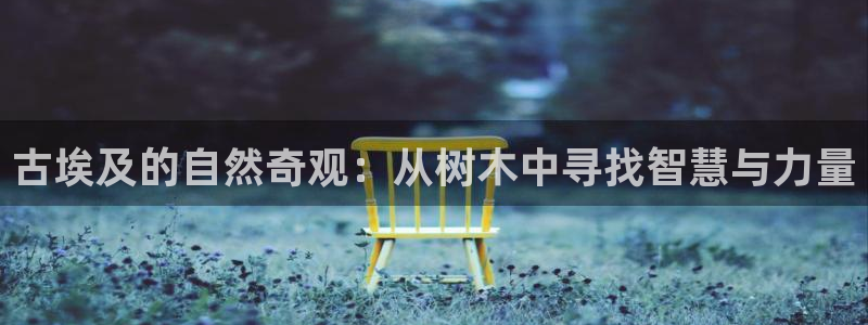 汝城天顺娱乐怎么样啊