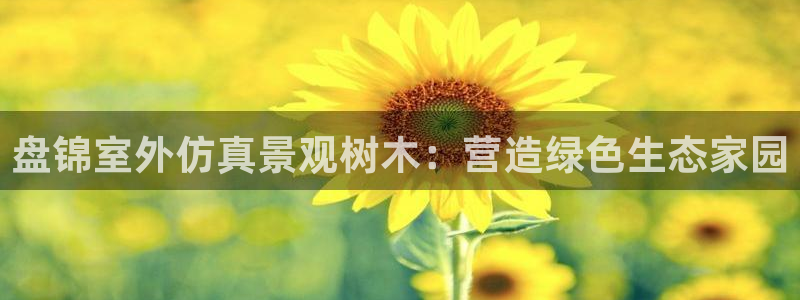 天顺娱乐低943994