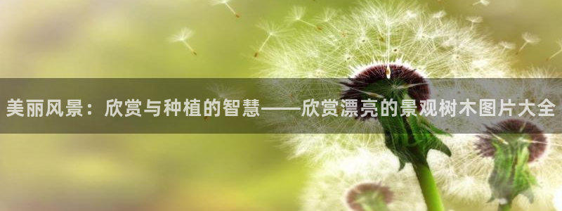 天顺娱乐庆貌p官29999