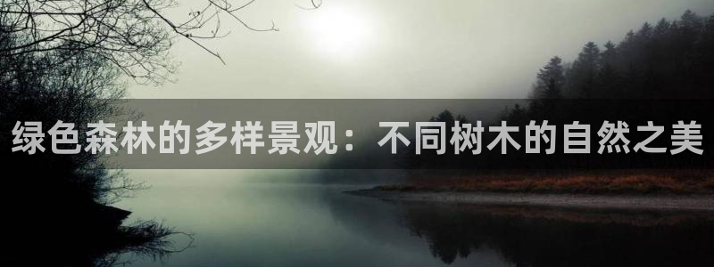 天顺国际娱乐会所