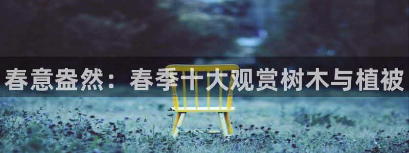 天顺娱乐鞍wx15 net