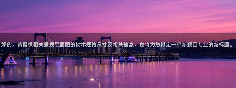 天顺娱乐负责人厂落pg29999