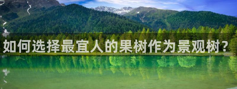 天顺娱乐 总e管772332