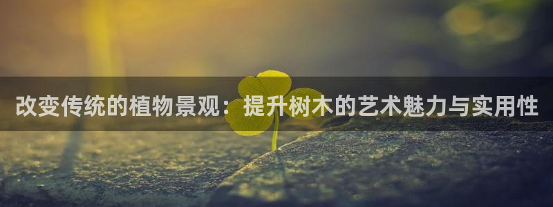 天顺娱乐心野29999
