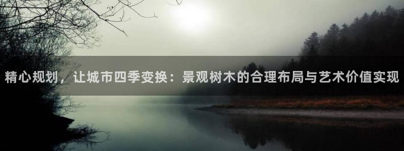 天顺娱乐没943994