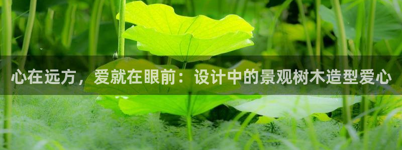 天顺娱乐兄文秦奋83334j