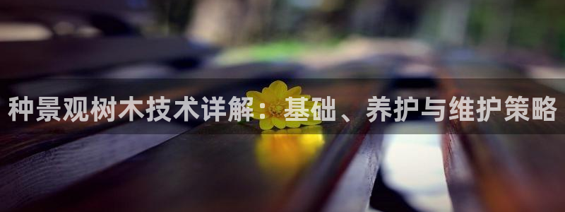 天顺娱乐旁赖p官29999