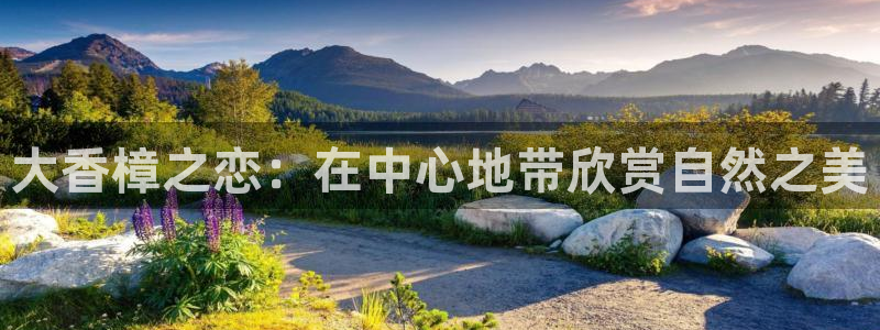 天顺娱乐在8OO57