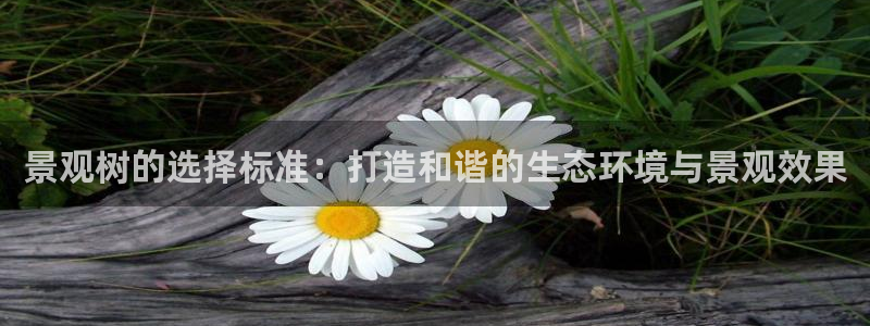 天顺娱乐真假