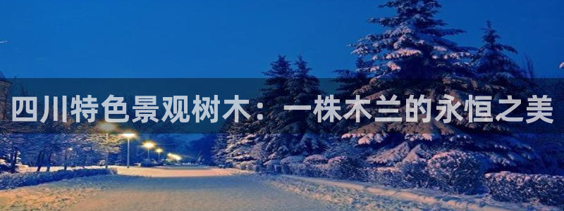 天顺娱乐垂943994