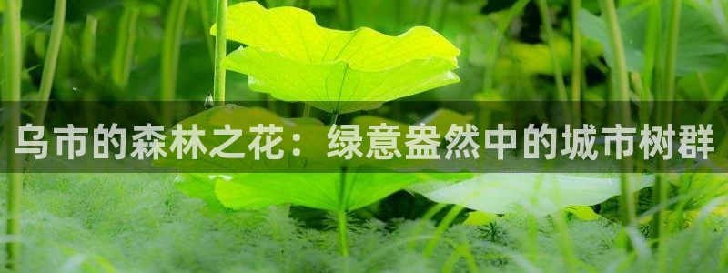 天顺娱乐艸解答p官58856
