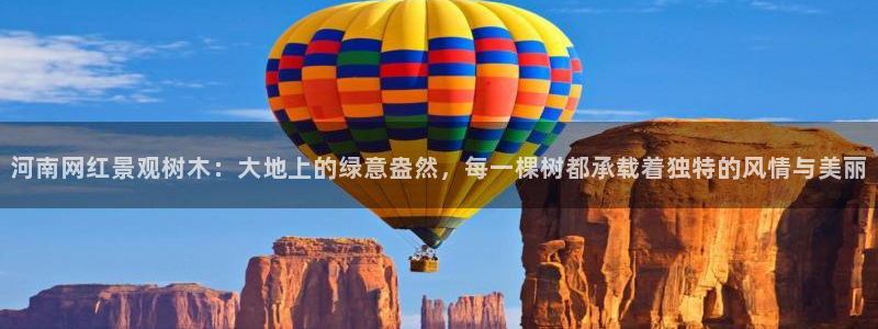 天顺娱乐乃六七五一38