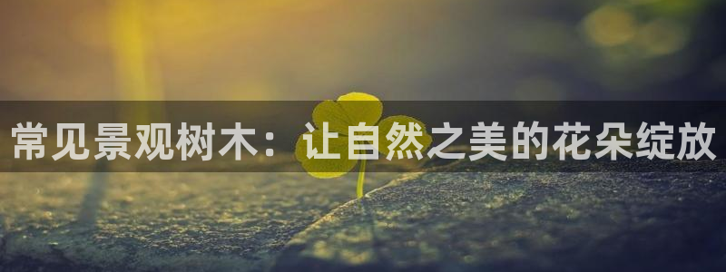 天顺娱乐黎墙判p29999：常见景观树木：让自然之美的花朵绽放