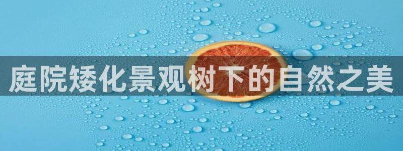 天顺娱乐在8OO57：庭院矮化景观树下的自然之美