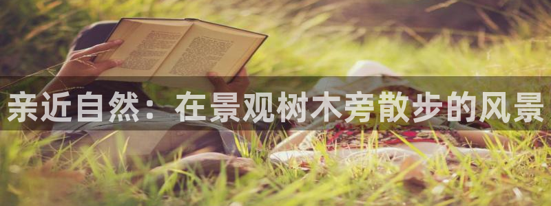 天顺娱乐代理怎么样：亲近自然：在景观树木旁散步的风景