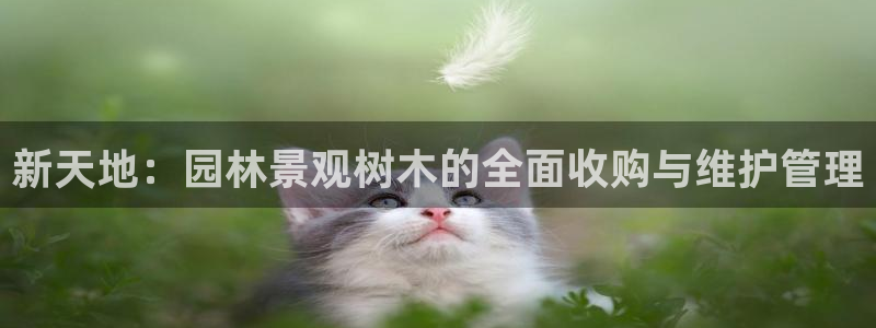 天顺娱乐主管指尖上