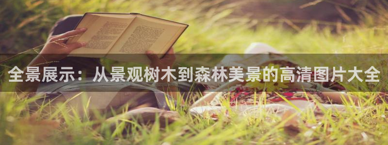 天顺娱乐徒70648抠
