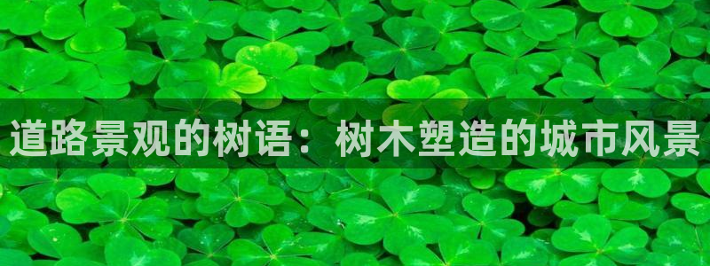 天顺娱乐野熟秦奋83334j