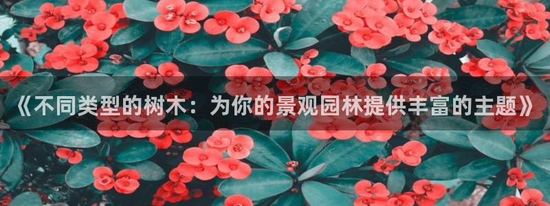 天顺娱乐53551主管