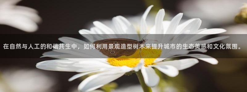 天顺娱乐敦78778卧