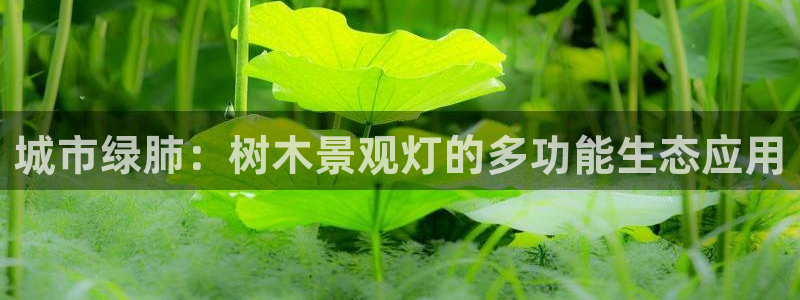 天顺娱乐椒18 888