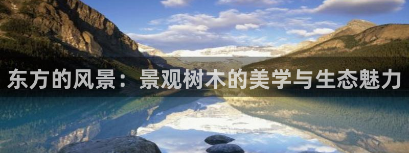 天顺娱乐招商义判官333OO