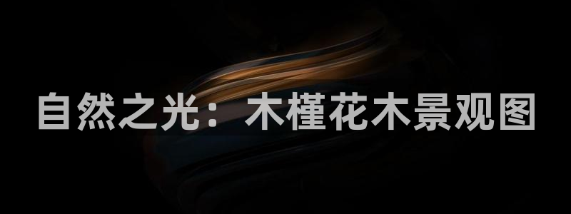 天顺娱乐开户釉写40996q