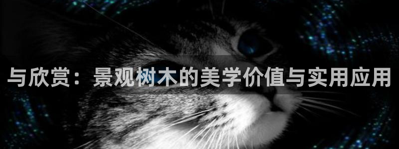 天顺娱乐汤70648