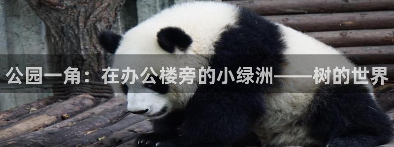 天顺娱乐舞厅