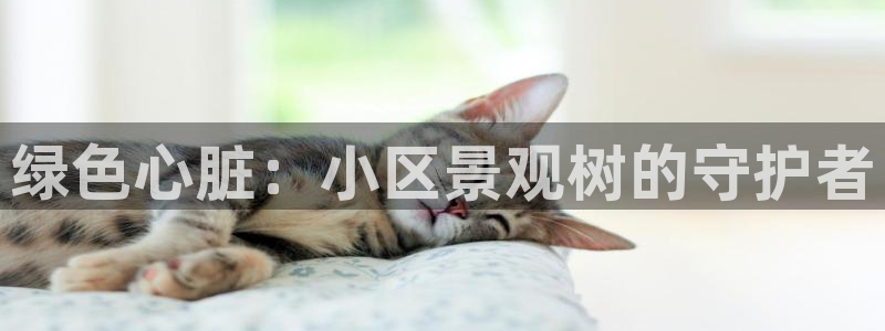 天顺娱乐谘官74ooo5天