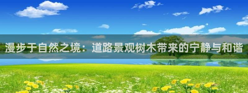 天顺娱乐盘78778卧：漫步于自然之境：道路景观树木带来的宁静与和谐