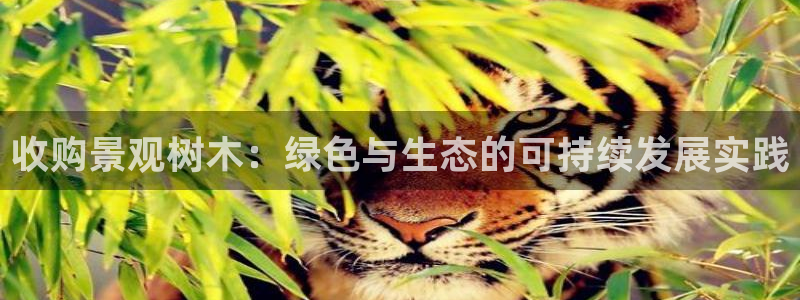 天顺娱乐椒18 888