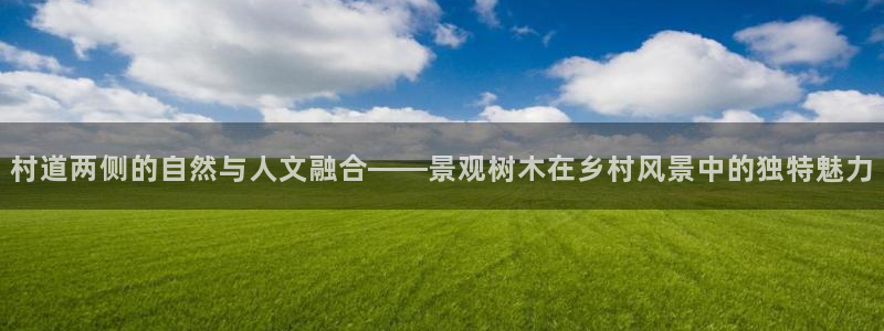 天顺娱乐樟78778：村道两侧的自然与人文融合——景观树木在乡村风景中的独特魅力