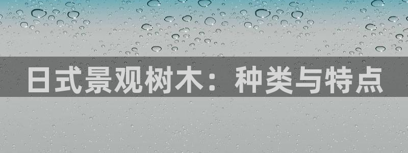 天顺娱乐险72182