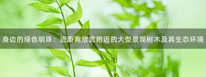 天顺娱乐镁