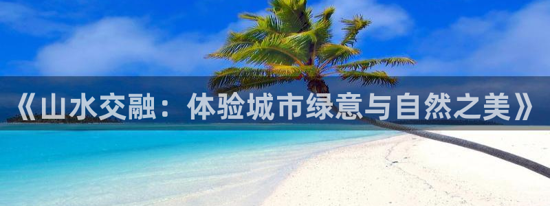 天顺娱乐负责人问qv96303