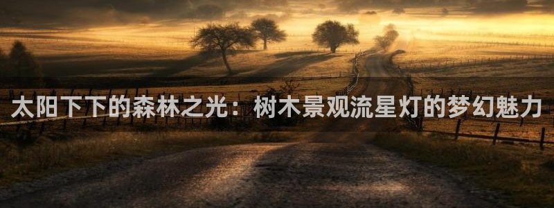 天顺娱乐总代理是谁：太阳下下的森林之光：树木景观流星灯的梦幻魅力