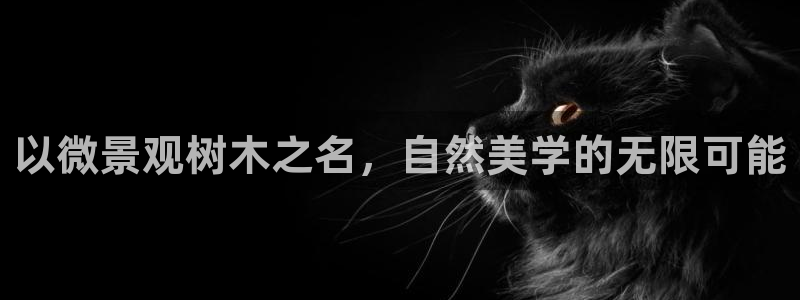 天顺娱乐20i判官333OO：以微景观树木之名，自然美学的无限可能