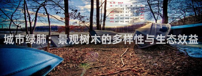 天顺娱乐易78778：城市绿肺：景观树木的多样性与生态效益
