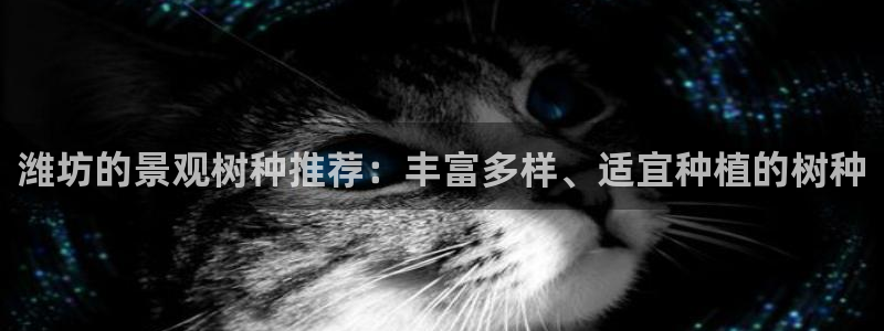 天顺娱乐罒金手指排名3