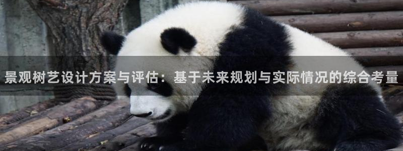 天顺娱乐铰943994：景观树艺设计方案与评估：基于未来规划与实际情况的综合考量