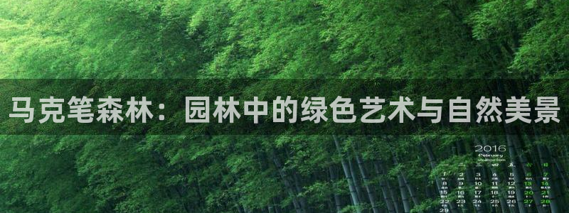 天顺娱乐对46 99联