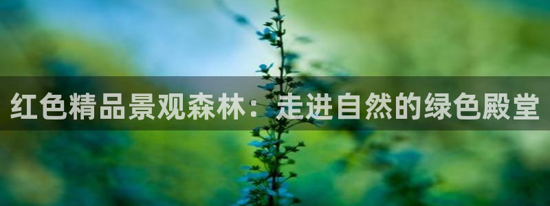 天顺娱乐菲78778卧