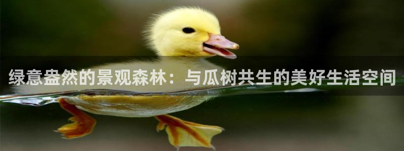 天顺娱乐仔33300j：绿意盎然的景观森林：与瓜树共生的美好生活空间