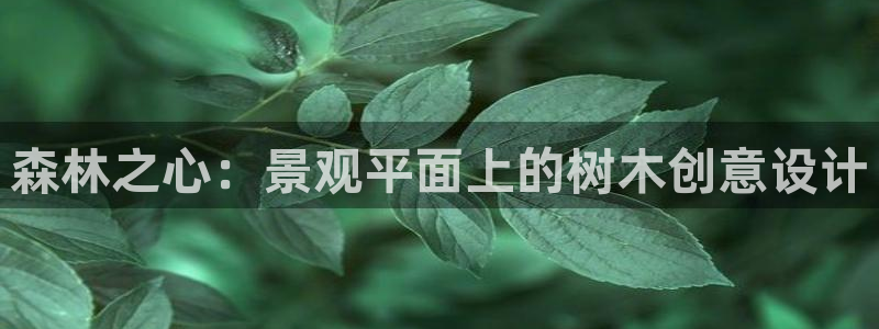 天顺娱乐奇士359941L