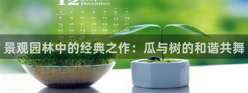 天顺娱乐耘78778