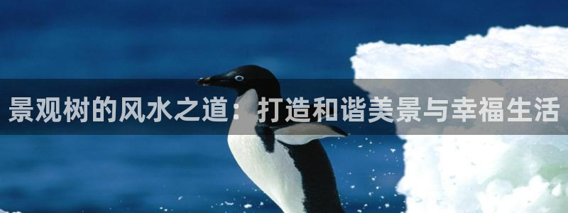 天顺娱乐21h判官333OO