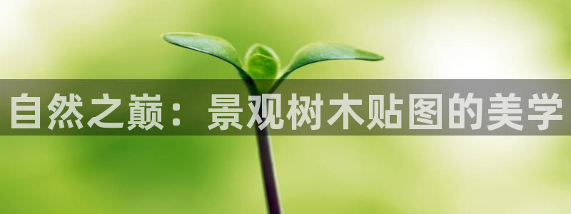 天顺娱乐仿47 344